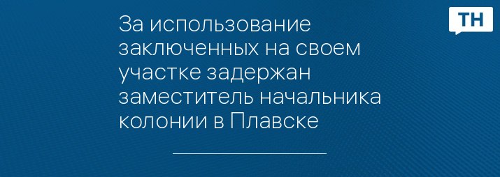 За использование заключенных на своем участке задержан заместитель начальника колонии в Плавске