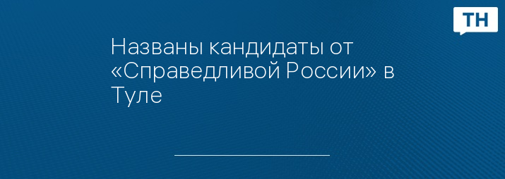 Названы кандидаты от «Справедливой России» в Туле