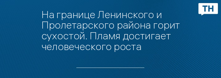 На границе Ленинского и Пролетарского района горит сухостой. Пламя достигает человеческого роста