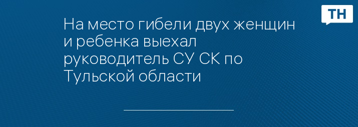 На место гибели двух женщин и ребенка выехал руководитель СУ СК по Тульской области