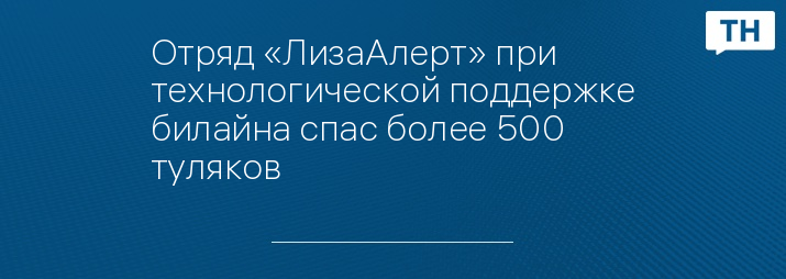 Отряд «ЛизаАлерт» при технологической поддержке билайна спас более 500 туляков
