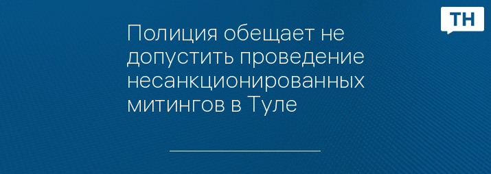 Полиция обещает не допустить проведение несанкционированных митингов в Туле