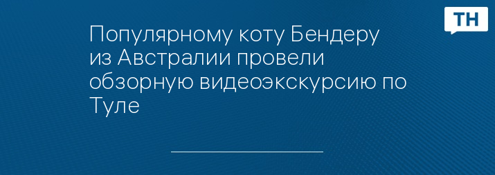 Популярному коту Бендеру из Австралии провели обзорную видеоэкскурсию по Туле