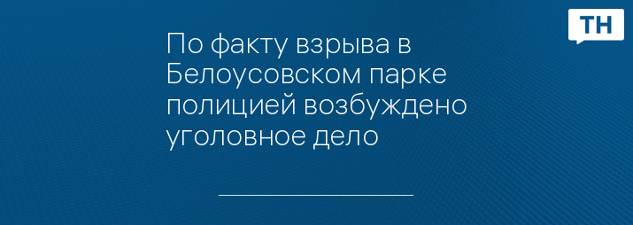 По факту взрыва в Белоусовском парке полицией возбуждено уголовное дело