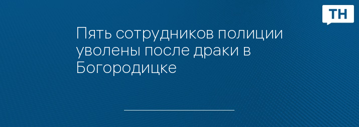 Пять сотрудников полиции уволены после драки в Богородицке