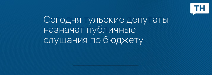 Сегодня тульские депутаты назначат публичные слушания по бюджету