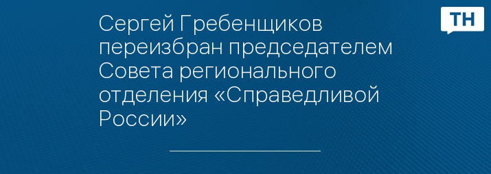 Сергей Гребенщиков переизбран председателем Совета регионального отделения «Справедливой России»