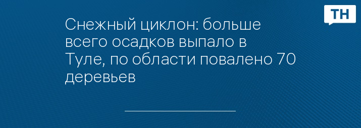 Снежный циклон: больше всего осадков выпало в Туле, по области повалено 70 деревьев