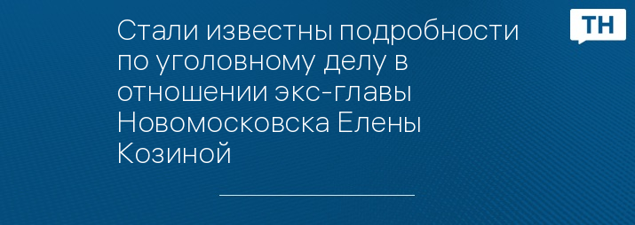 Стали известны подробности по уголовному делу в отношении экс-главы Новомосковска Елены Козиной