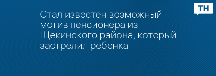 Стал известен возможный мотив пенсионера из Щекинского района, который застрелил ребенка