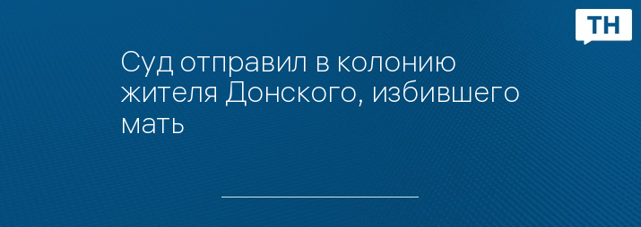 Суд отправил в колонию жителя Донского, избившего мать