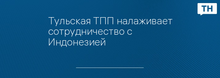 Тульская ТПП налаживает сотрудничество с Индонезией