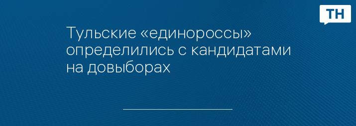 Тульские «единороссы» определились с кандидатами на довыборах 