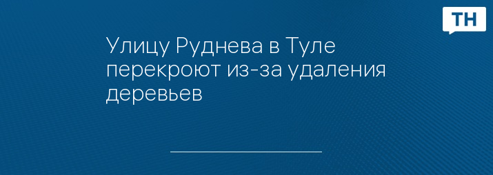 Улицу Руднева в Туле перекроют из-за удаления деревьев