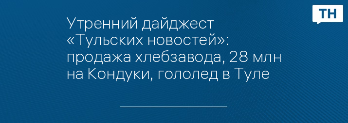 Утренний дайджест «Тульских новостей»: продажа хлебзавода, 28 млн на Кондуки, гололед в Туле 