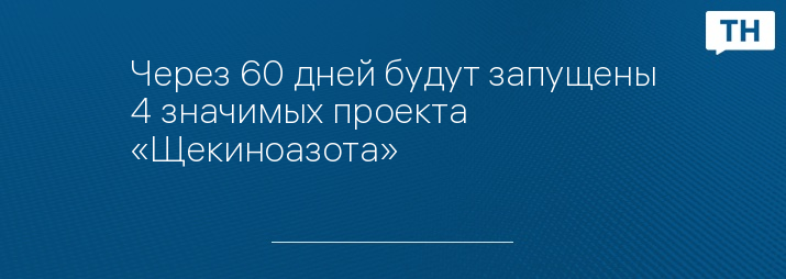 Через 60 дней будут запущены 4 значимых проекта «Щекиноазота»