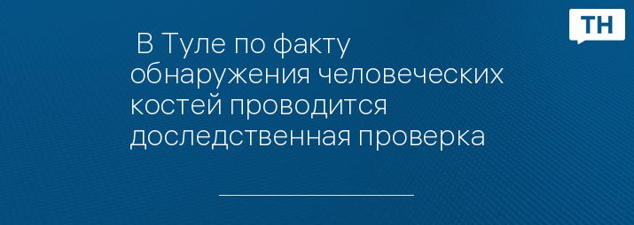  В Туле по факту обнаружения человеческих костей проводится доследственная проверка 