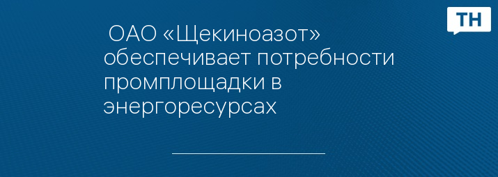  ОАО «Щекиноазот» обеспечивает потребности промплощадки в энергоресурсах