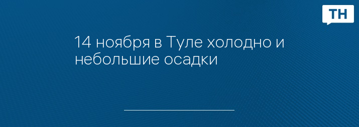 14 ноября в Туле холодно и небольшие осадки