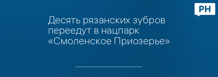 Фото:кадр видеозаписи