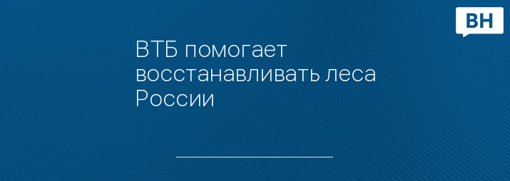 ВТБ помогает восстанавливать леса России