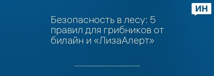 Безопасность в лесу: 5 правил для грибников от билайн и «ЛизаАлерт»