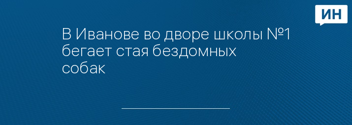 vk.com/ivnvo