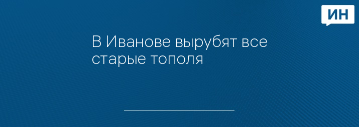 В Иванове вырубят все старые тополя