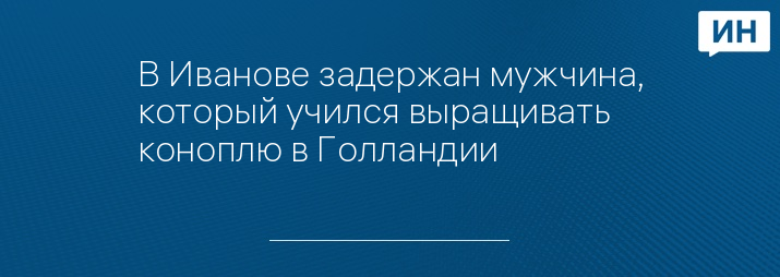 В Иванове задержан мужчина, который учился выращивать коноплю в Голландии