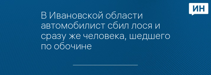 В Ивановской области автомобилист сбил лося и сразу же человека, шедшего по обочине