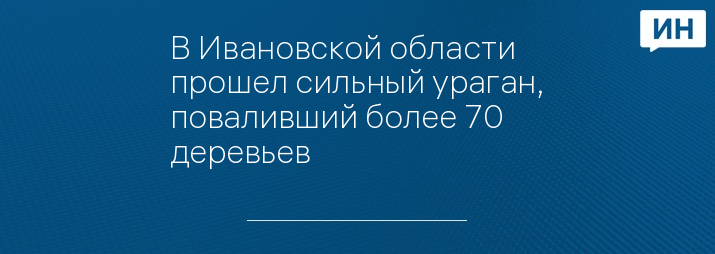 В Ивановской области прошел сильный ураган, поваливший более 70 деревьев