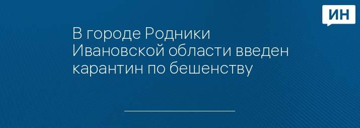 В городе Родники Ивановской области введен карантин по бешенству