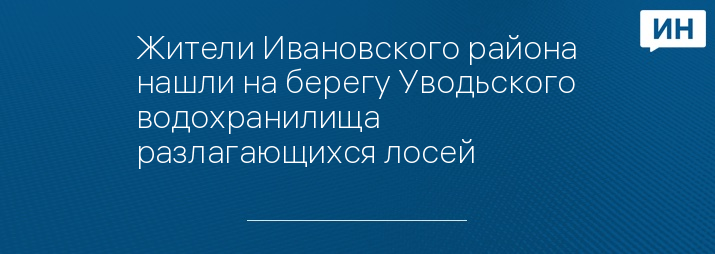 Жители Ивановского района нашли на берегу Уводьского водохранилища разлагающихся лосей