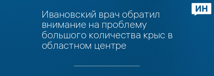 Ивановский врач обратил внимание на проблему большого количества крыс в областном центре