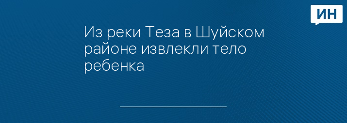 Из реки Теза в Шуйском районе извлекли тело ребенка