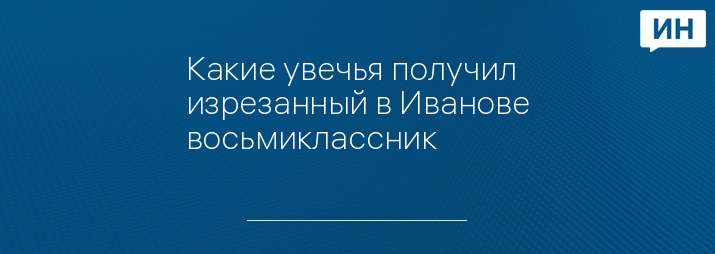 Какие увечья получил изрезанный в Иванове восьмиклассник