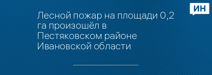 Лесной пожар на площади 0,2 га произошёл в Пестяковском районе Ивановской области