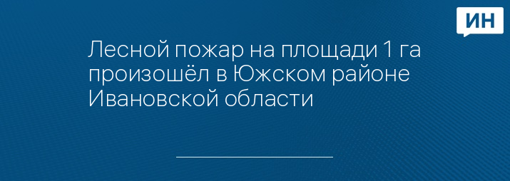 Лесной пожар на площади 1 га произошёл в Южском районе Ивановской области 