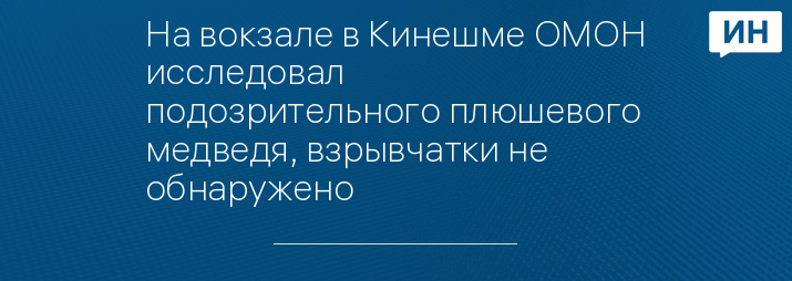 На вокзале в Кинешме ОМОН исследовал подозрительного плюшевого медведя, взрывчатки не обнаружено