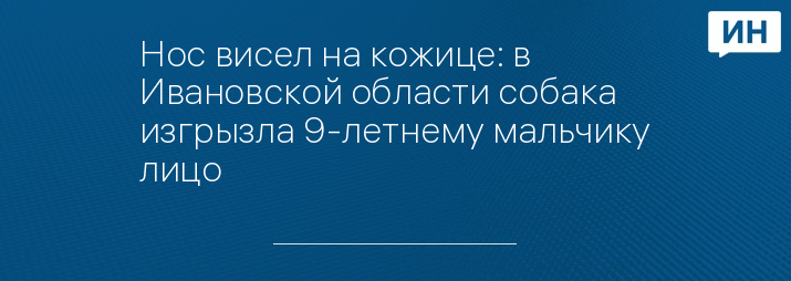 Нос висел на кожице: в Ивановской области собака изгрызла 9-летнему мальчику лицо