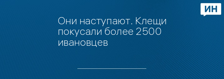 Они наступают. Клещи покусали более 2500 ивановцев  