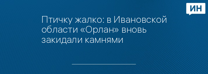 Птичку жалко: в Ивановской области «Орлан» вновь закидали камнями