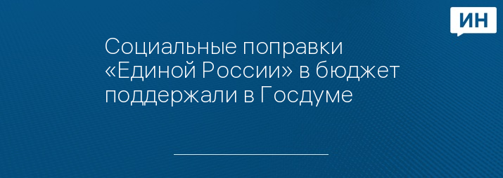 Социальные поправки «Единой России» в бюджет поддержали в Госдуме