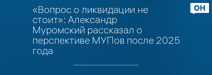 «Вопрос о ликвидации не стоит»: Александр Муромский рассказал о перспективе МУПов после 2025 года