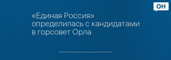 «Единая Россия» определилась с кандидатами в горсовет Орла