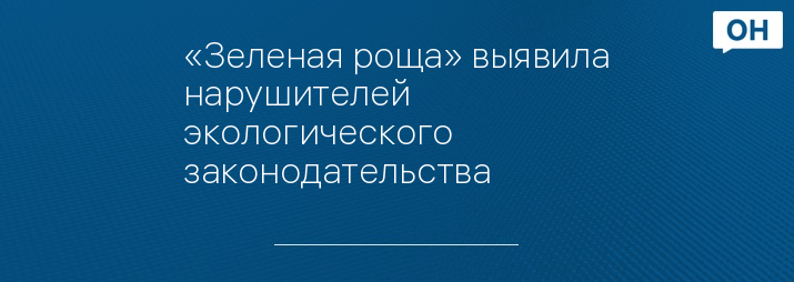 «Зеленая роща» выявила нарушителей экологического законодательства