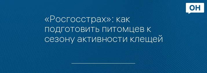 «Росгосстрах»: как подготовить питомцев к сезону активности клещей