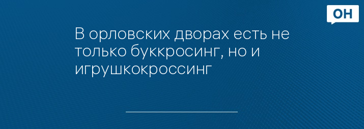 В орловских дворах есть не только буккросинг, но и игрушкокроссинг