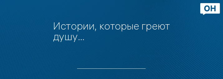 Истории, которые греют душу…