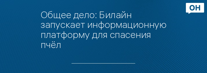 Общее дело: Билайн запускает информационную платформу для спасения пчёл